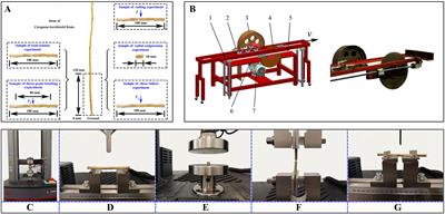 Discrete element modelling and mechanical properties and cutting experiments of Caragana korshinskii Kom. stems